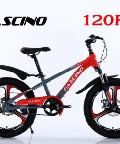 Xe đạp đia Hình Trẻ Em Fascino 120r Vành đúc Màu Ghi đỏ