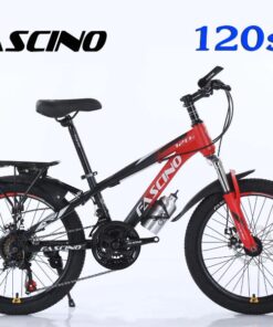 Xe đạp đia Hình Trẻ Em Fascino 120s Màu đen đỏ