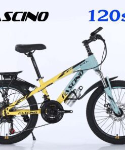 Xe đạp đia Hình Trẻ Em Fascino 120s Màu Vàng Ghi