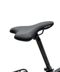 Xe đạp gấp Fascino FD 25 chuẩn giảm giá 500K 34 Yên Xe đạp Gấp Fascino Fd20