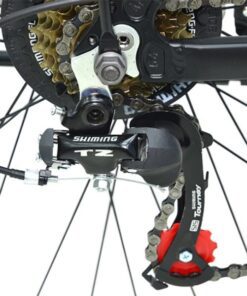 Củ đề Sau Xe đạp địa Hình Papylus Af6