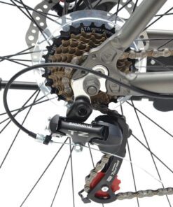 Líp Và Củ đề Sau Xe đạp Dua Palylus Pr700