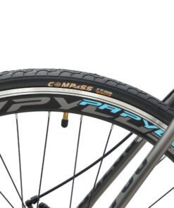 Lốp Xe đạp Dua Palylus Pr700