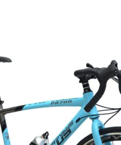 Phần Trên Xe đạp Dua Palylus Pr700