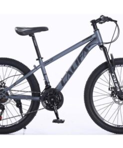 Xe đạp Califa Ck2 Màu Xám