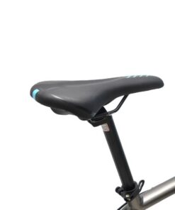 Yên Xe đạp Dua Palylus Pr700