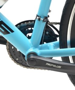 Trục Giữa Xe đạp Dua Palylus Pr700