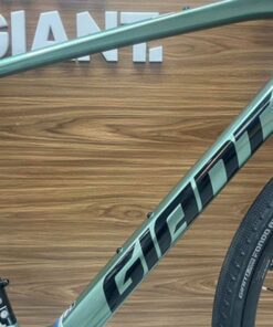 Khung Sườn Xe đạp đường Phố (touring) Giant Fastroad Ar Adv 2 Bản 2023