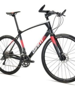 Xe đạp đường Phố (touring) Giant Fastroad Adv ảnh 2