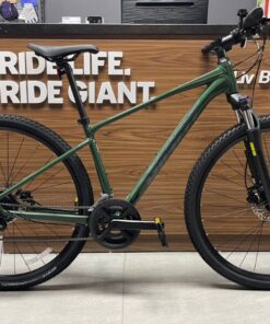 Xe đạp địa hình Giant Roam 3 D bản 2024 29 Xe đạp địa Hình Giant Roam 3 D Bản 2024 Màu Xanh Rêu