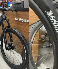 Bánh Trước Và Lốp Xe đạp địa Hình Giant Reign Bản 2024 29inch