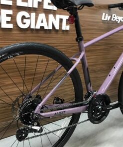 Xe đạp Touring Liv Alight 2 DD D bản 2022 21 Bộ Truyền động Xe đap đường Phố Liv Alight 2 Dd D