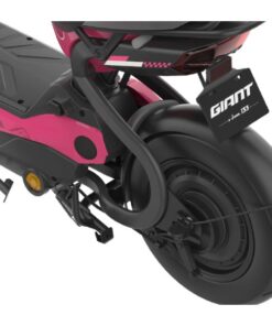 Xe điện Giant M133R (4 bình) bản 2024 28 Chân Chống Xe điện Giant M133r (4 BÌnh) Bản 2024