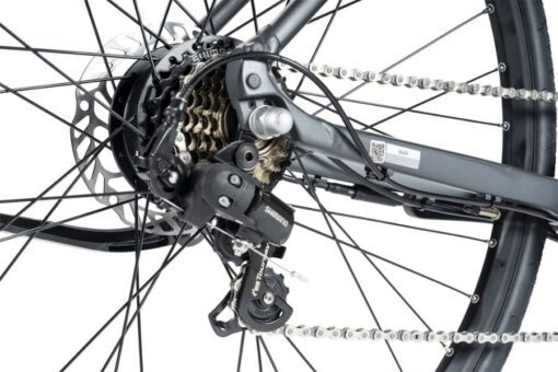 Củ đề Sau Xe điện Trợ Lực Giant Escape E+ Bản 2024