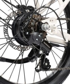 Xe đạp điện trợ lực Momentum Espresso E+ 31 Củ đề Sau Xe điện Trợ Lực Momentum Espresso E