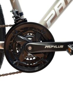 Xe đạp touring Papylus PT700S giảm giá 200K + KM 48 Đùi đĩa Và Củ đề Trươc Shimano Tz500 Xe đạp Touring Papylus Pt700s