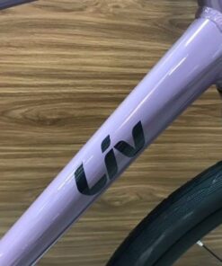 Xe đạp Touring Liv Alight 2 DD D bản 2022 20 Khung Xe đap đường Phố Liv Alight 2 Dd D