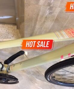 Khung Xe đạp đường Phố Liv Alight 1 Bản 2020