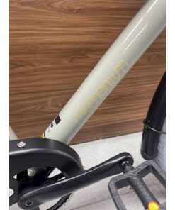 Khung Ngang Xe đạp đường Phố Momentum Ineed Dandy Bản 2025