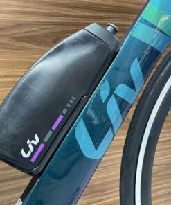 Khung Sườn Xe đạp đua Nữ Liv Avow Adv Pro 2 Bản 2020