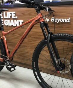 Xe Đạp Địa Hình Giant Fathom 2 29inch Bản 2022 22 Khung Sườn Nhôm Xe đạp địa Hình Giant Fathom 2 Bản 29inch 2022