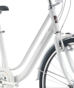 Khung Xe đạp đường Phố Momentum Ineed 1500 Bản 2024