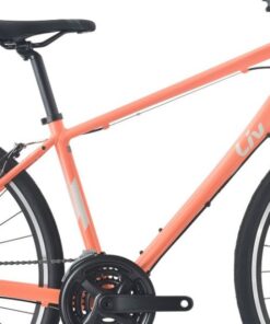 xe đạp touring đường phố Liv Alight 3 bản 2024 16 Khung Xe đạp đường Phố Nữ Alight 3 Bản 2024