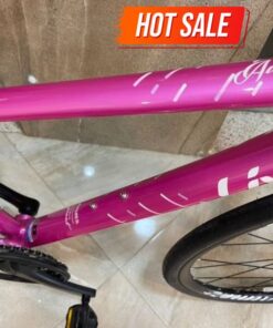 Khung Xe đạp đường Phố Nữ Liv Aimez Sl 2 Bản 2021