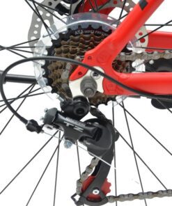 Líp Và Củ đề Sau Xe đạp Touring Papylus Pt700