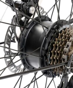 Xe đạp điện trợ lực Momentum Espresso E+ 28 Líp Xe điện Trợ Lực Momentum Espresso E