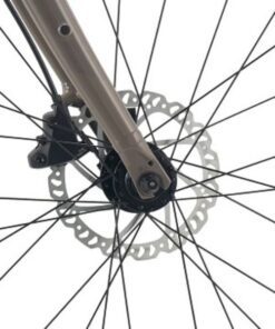 Mayo Xe đạp đường Phố Nữ Liv Aimez Sl 2 Bản 2024