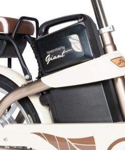 Xe điện Giant 2024 L-830R 32 Pin Xe điện Giant L-830r Bản 2024