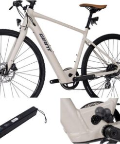 Pin Xe điện Trợ Lực Giant Fastroad E+ Bản 2023