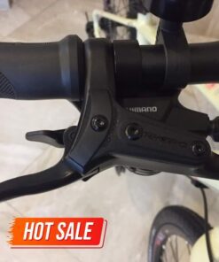 Tay Phanh Và Tay đề Xe đạp đường Phố Liv Alight 1 Bản 2020