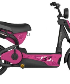 Xe điện Giant M133R (4 bình) bản 2024 22 Xe điện Giant M133r (4 BÌnh) Bản 2024 Màu Hồng