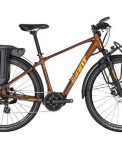 Xe đạp điện trợ lực Giant Expedition E+ 200 bản 2022 25 Xe điện Trợ Lực Giant Expedition E+200 Bản 2022 Màu Cam