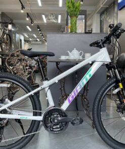 Xe đạp địa hình trẻ em cao cấp Giant ATX 24 D 1 bản 2025 21 Xe Trẻ Em Giant Atx 24 D 1 Bản 2025 Màu Trắng