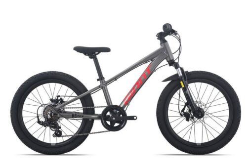 Xe Trẻ Em Giant Xtc 20-d Bản 2025 Màu Xám