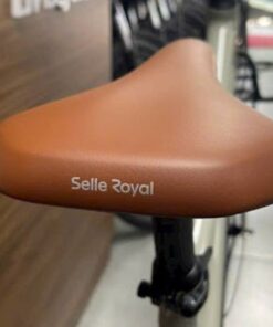 Yên Ngồi Xe đạp đường Phố Momentum Ineed Dandy Bản 2025