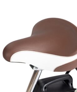 Xe điện Giant 2024 L-830R 30 Yên Ngồi Xe điện Giant L-830r Bản 2024