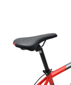 Yên Xe đạp Touring Papylus Pt700