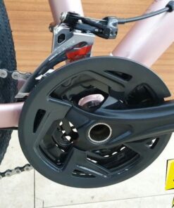 đùi đĩa Xe đạp địa Hình Liv Tempt 2 Bản 2021