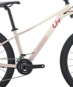 Khung Sườn Xe đạp địa Hình Liv Tempt 1 Bản 2023