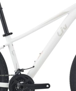 Khung Sườn Xe đạp địa Hình Liv Tempt 2 Bản 2021