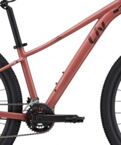 Khung Sườn Xe đạp địa Hình Liv Tempt 4 Bản 2022