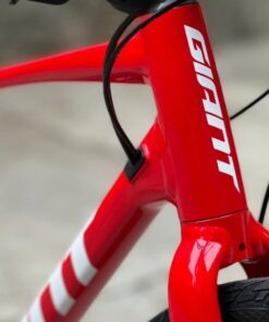 ống Cổ Xe đạp đường Phố Giant Revolt F2 Bản 2022