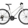 Xe đạp touring nữ Liv Alight Disc 3 (2022) 31 Xe đạp đường Phố Liv Alight 3 Bản 2022 Màu Trắng