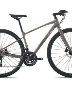 Xe đạp đường Phố Nữ Liv Aimez Sl 2 Bản 2024 Màu Nâu