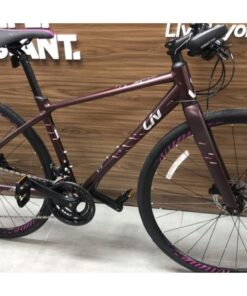 Xe đạp đường Phố Nữ Liv Aimez Sl 2 Bản 2021 Màu Nâu