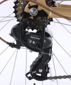 Xe đạp mini nữ Chevaux Parris 6.0 34 Củ đề Sau Xe đạp Chevaux Parris 6.0